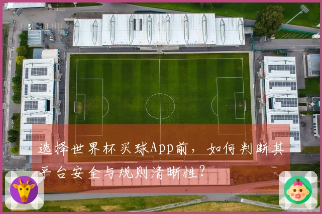 选择世界杯买球App前,如何判断其平台安全与规则清晰性?